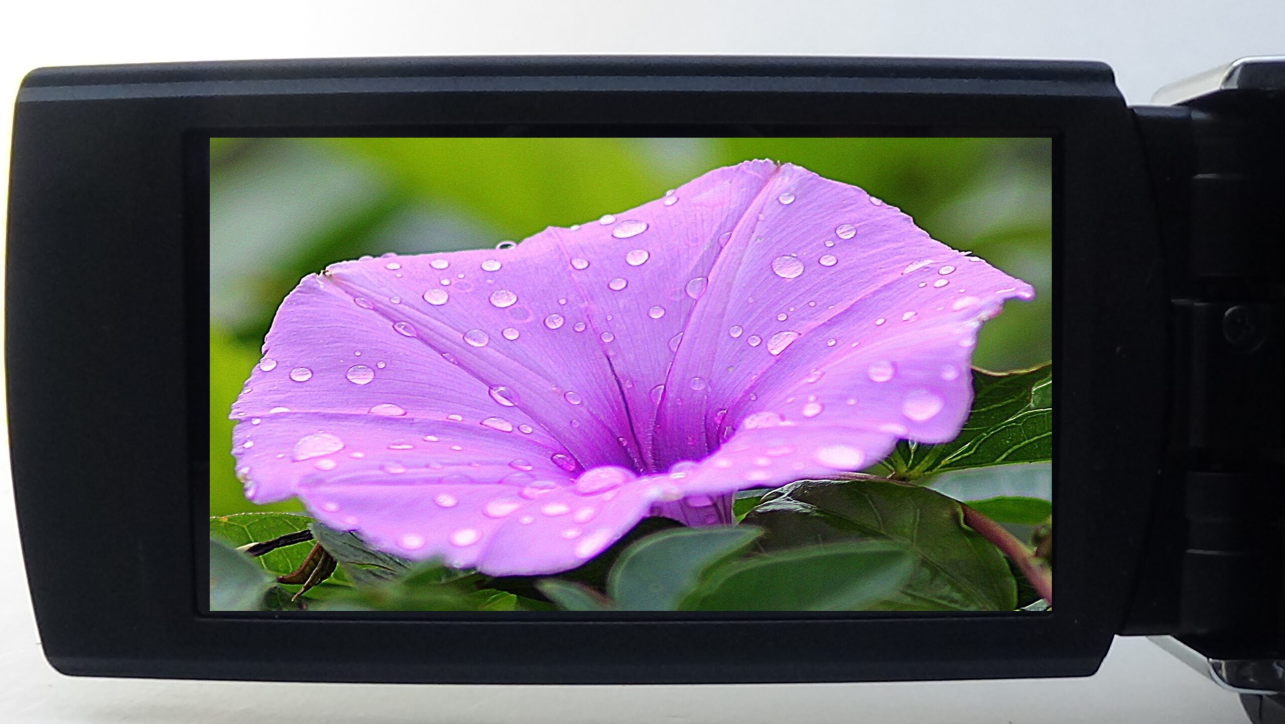 Filmadora sony cx200 e Câmera de filmagem uma oportunidade única para gravação de vídeos culinários - Imagem 6